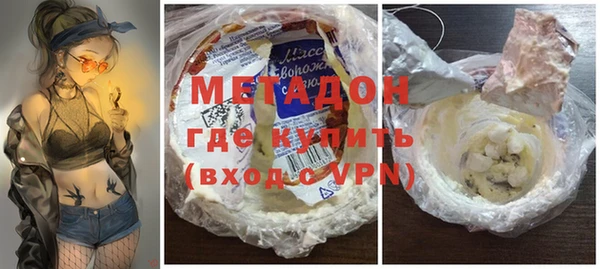 прущие грибы Абинск
