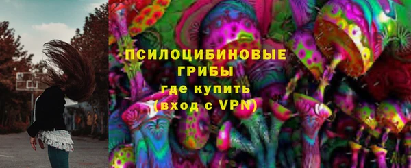 прущие грибы Абинск