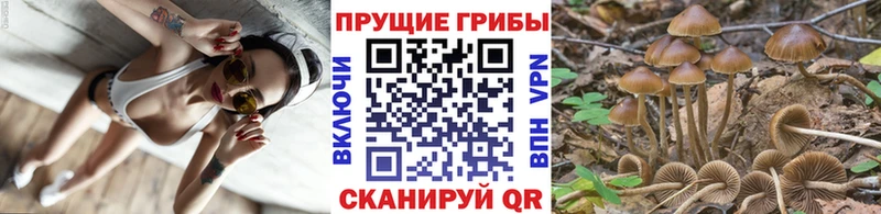 Галлюциногенные грибы ЛСД  Александровск 